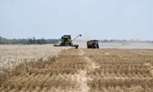 Взрыв газопровода отключил свет во всей Сирии