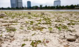 Афганки со всего мира устроили яркий флешмоб против талибов