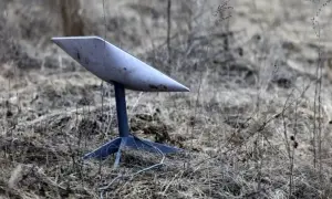 Японский император выступил с последним новогодним поздравлением