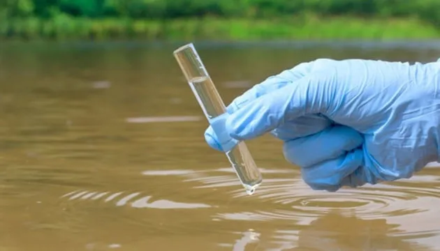 Water pollution was detected in the Kyiv region following a fish kill