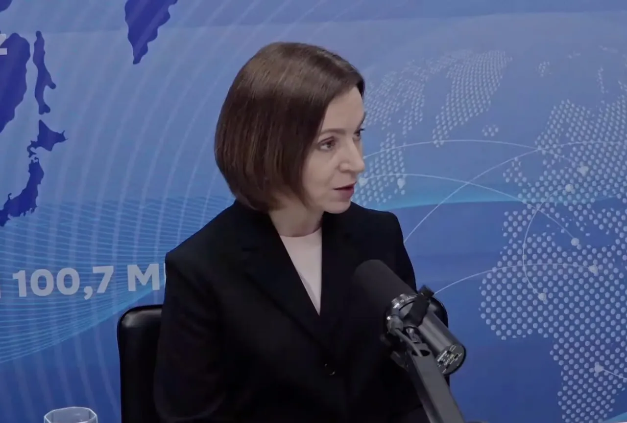 Санду заявила, что Россия намеренно направляет часть дронов в сторону Молдовы