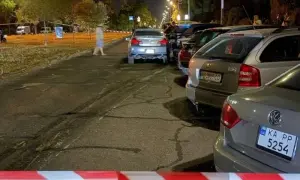Листопад у Києві встановив температурний рекорд