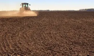 Пограничники задержали украинцев, которые пытались сбежать от самоизоляции за границу