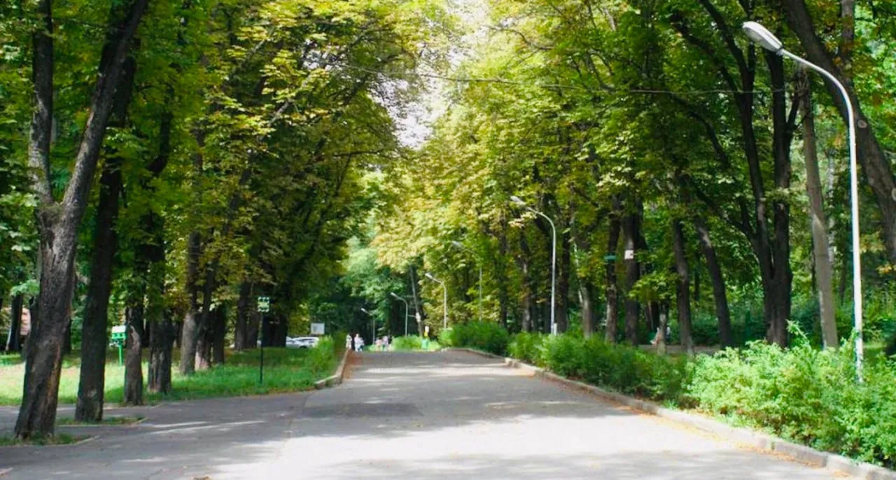 The prosecutor's office is seeking a court order to establish the boundaries of Ivan Bagryany Park