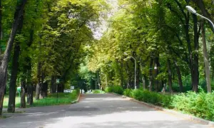 ЕС профинансирует разминирование украинских территорий