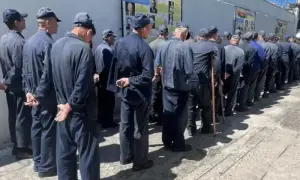 На Днепропетровщине женщина торговала поддельными COVID-справками