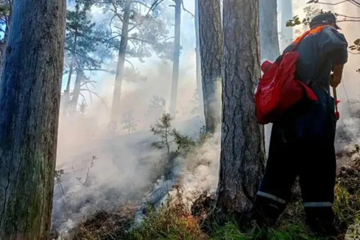 In occupied Yalta, authorities have been unable to extinguish a massive forest fire for the sixth day in a row