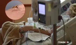 В немецком аэропорту произошла вспышка малярии, есть погибший