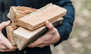 Украинские АЭС сократили генерацию энергии до исторического минимума 
