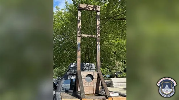 A man who brought a guillotine to the Capitol was detained — CNN