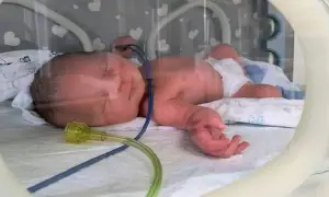 На Львівщині чоловікам продавали фейкові свідоцтва про багатодітність для виїзду за кордон