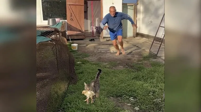 Блогери з Черкащини залишили кота в полі за 20 км від дому