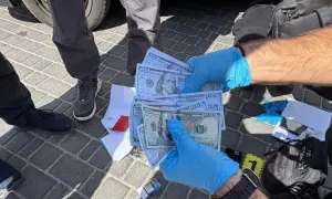 Маляр оценила риск полноценного вступления беларуси в войну против Украины