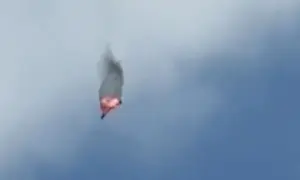 Німеччина обіцяє Україні ще одну систему Patriot 