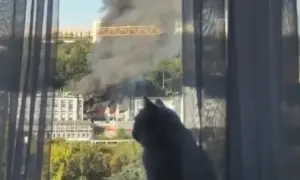 Объявлен приговор исполнителям убийства Гандзюк