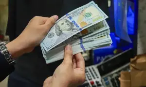 На Голосковском кладбище завершили эксгумацию останков 133 военнослужащих