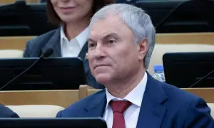 В Беларуси запретили фото мисс-2008, брошенной в тюрьму за протесты