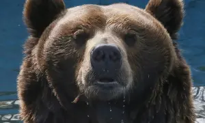 США завершают операцию против ИГИЛ в Ираке — The National