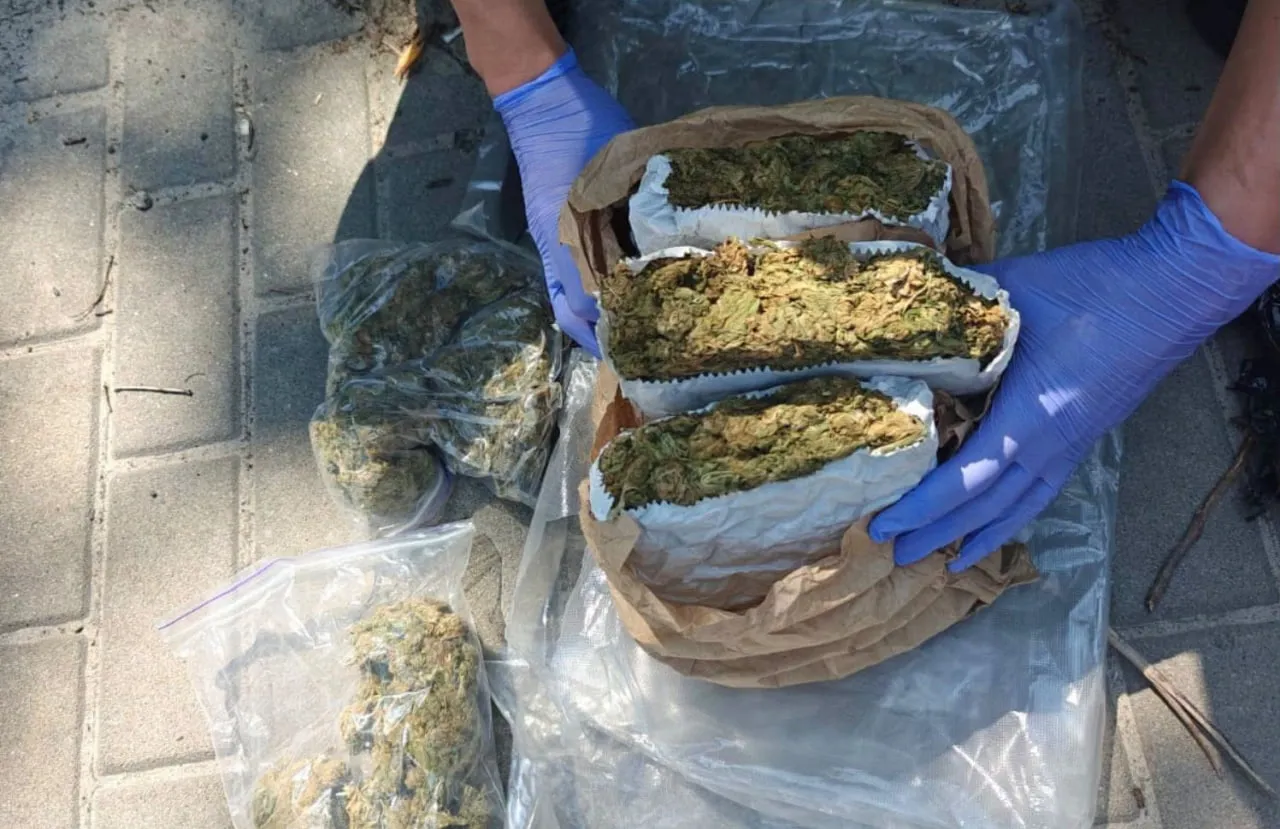 In Kyiv, a 20-year-old drug dealer was sentenced to 9 years in prison for wholesale drug trafficking