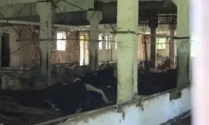В ЕС пояснили, что не так с действиями Украины на рынке электроэнергии 