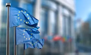 Горбатого кита, которого спасали в Германии, нашли мертвым у берегов Дании