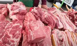 Рада дала определение буллингу и ввела штрафы