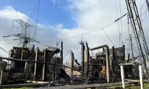 На Запорожской АЭС российские террористы убивают десятки диких животных