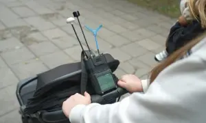 Видео: в Карпатах на горе Поп Иван выпал первый снег