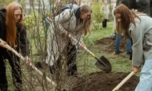 Первую очередь парка «Победа» открыли после ремонта