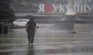 До Чорнобильської зони почали повертатись лелеки