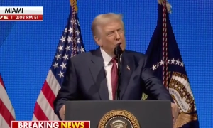 Талібів допустили до розподілу гуманітарної допомоги для Афганістану