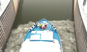 ВООЗ має намір змінити назву мавпячої віспи: в чому причина