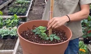 Український оборонний завод Ukrspecsystems відкрив виробництво у Британії, — Залужний