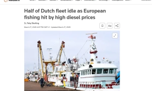 Трамп хоче побудувати бальну залу більшого розміру, ніж Білий дім