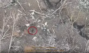 В Брянской области жалуются на прилеты, есть разрушения