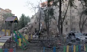 СБУ разоблачила схему присвоения государственных лесов на Львовщине