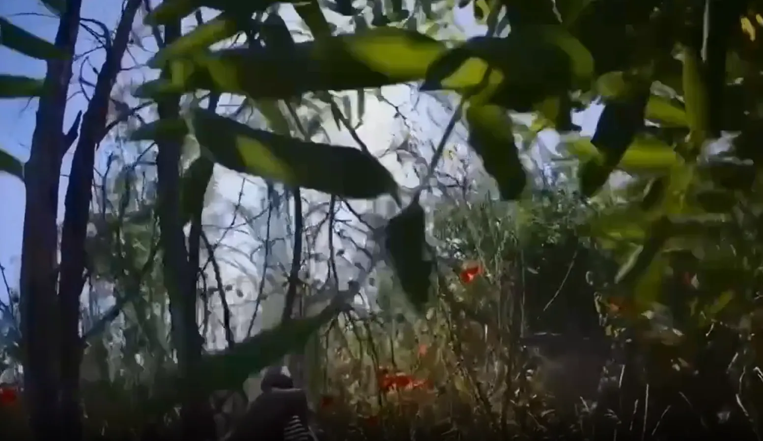 Український розвідник зі стрілецької зброї збив FPV-дрон за мить до вибуху