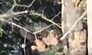 Третій армійський корпус розпочав наступ на Донеччині: є перші результати