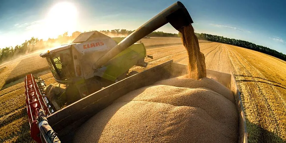 Ukrainian strikes on Russian ships have paralyzed grain exports through the Sea of Azov