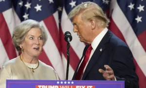 У США знайшли шпигунські пристрої всередині сонячних панелей та інверторів із Китаю – Reuters