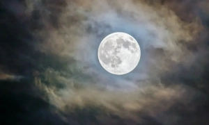 Польща готує новий пакет допомоги Україні 