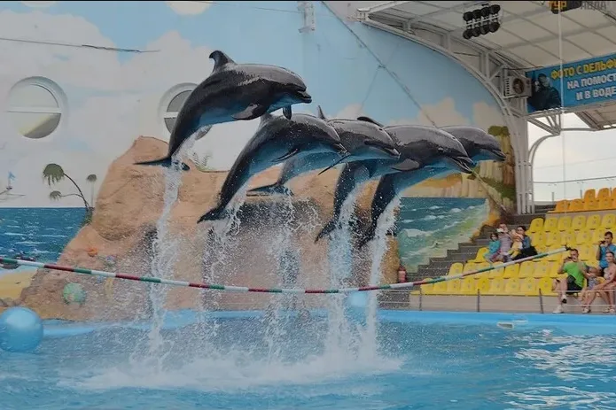 В Одесі заарештовано будівлю популярного дельфінарію «Немо»