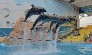 Пошуково-рятувальні роботи у Броварах завершено – ДСНС