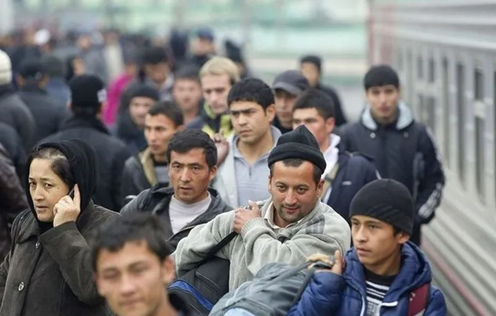 Експерти пояснили, які мігранти потрібні Україні