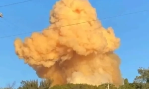 Не коронавірусом єдиним: у Франції стався спалах високопатогенного пташиного грипу