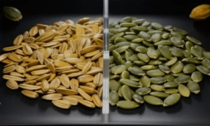 У Києві відбудеться міжнародний турнір зі змішаних єдиноборств