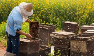 НКРЕКП оновила платіжки за газ для побутових споживачів