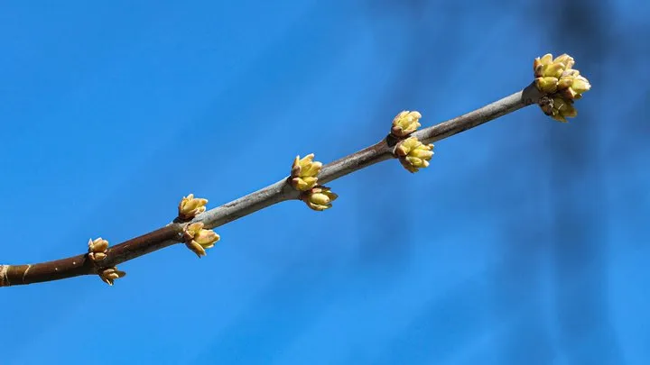 Прогноз погоди в Україні на 14 березня: малохмарно та без опадів