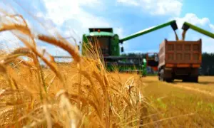 У серпні експорт агропродукції з України обвалився майже на 60%