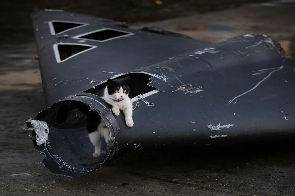 In Kyiv, debris from a Russian drone fell into the yard of a private home in the Darnytskyi district